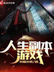 人生副本游戏在线阅读