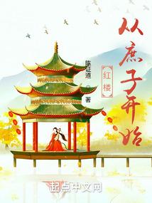 红楼从庶子开始_(陈证道)