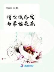 尘埃落定的前一句