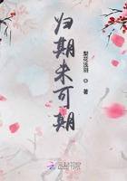 归期可期是什么意思