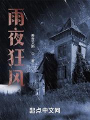 雨夜风雷