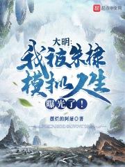 大明我被朱棣模拟人生曝光了!TXT