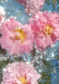 涉江采芙蓉选自哪里