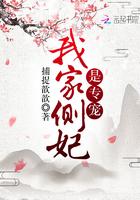 我家侧妃是专宠晋江
