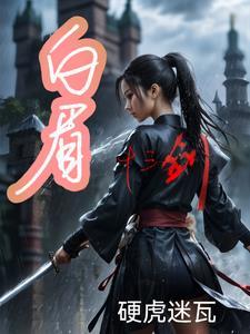 后续白眉大剑321回