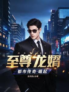 至尊龙婿最新