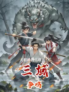 三域是指