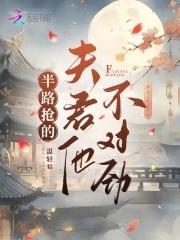 半路夫夫txt