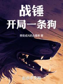 战锤系统文